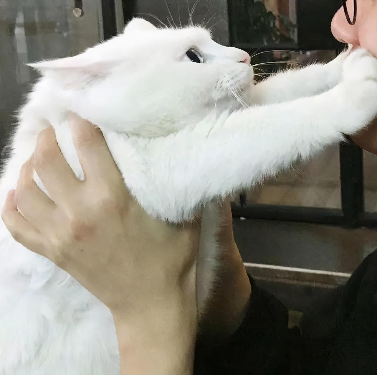 职业球员为何总在更衣室翻旧账? 职业球员为何总在更衣室翻旧账?