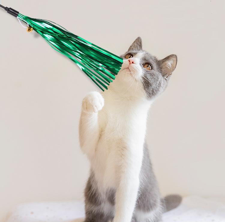 下载猫咪游戏怎么避免踩坑？