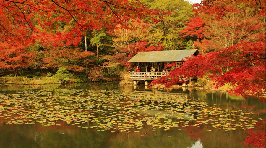 一一七 车通地下铁