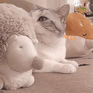 主子突然绝食是为哪般? 主子突然绝食是为哪般?