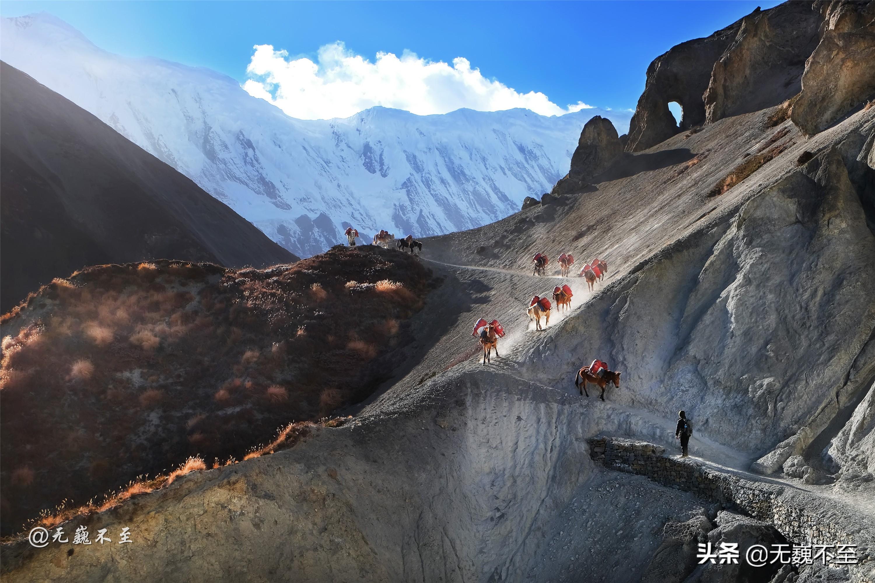 属马的人真的会克身边最亲的人吗? 属马的人真的会克身边最亲的人吗?