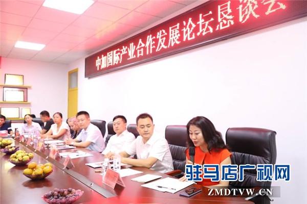 在多伦多混华人论坛真的有用吗? 在多伦多混华人论坛真的有用吗?