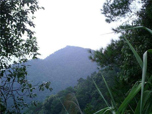 梦见丈人死了又复活了？心理学揭秘家庭关系与情感重生