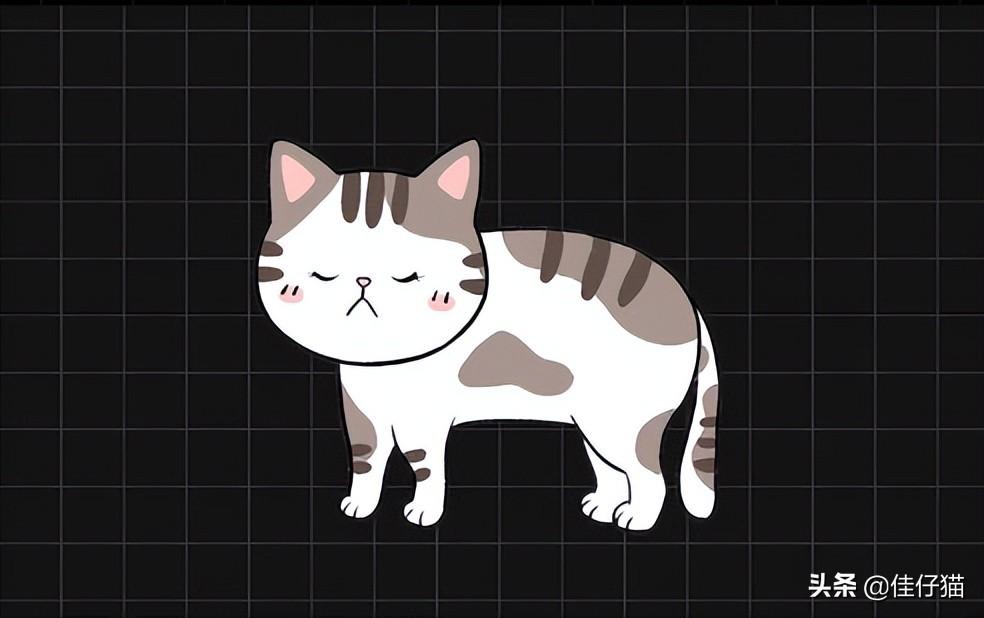 麦玲玲算命能帮你避开人生大坑吗？