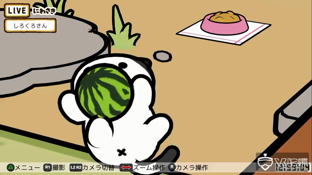 猫咪后院汉化版到底怎么玩才能不踩坑？