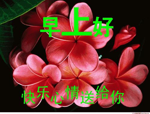 2月14号到底藏着什么惊天大秘密？