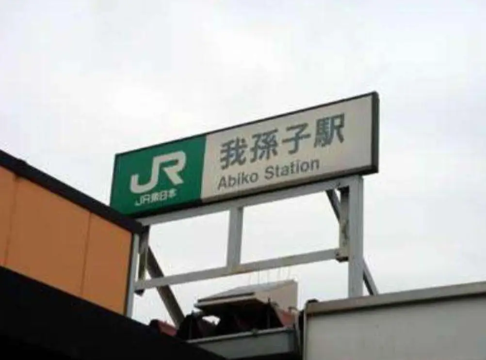 姓氏文化历史_日本姓氏特点_日本的华裔姓氏有哪些