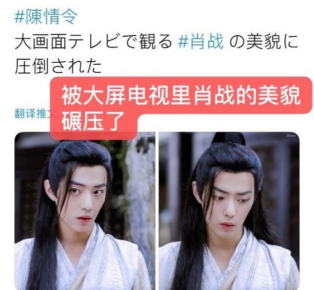 肖战家的坚果是什么品种？看完这篇你也能养同款猫！