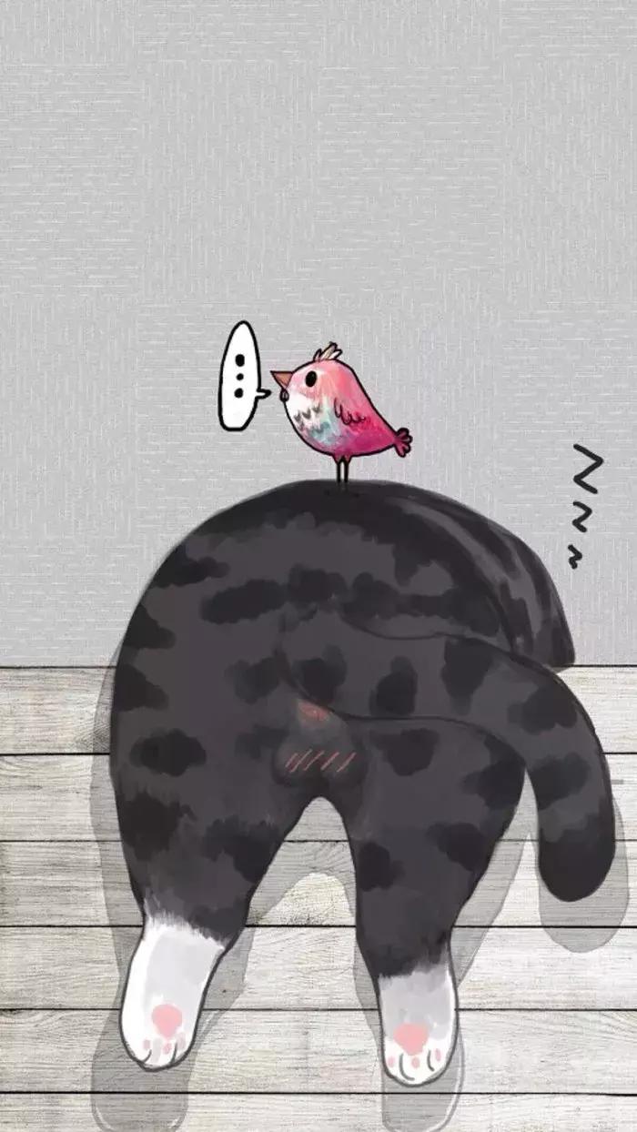 给猫取名用 火锅 真的会变吃货吗？