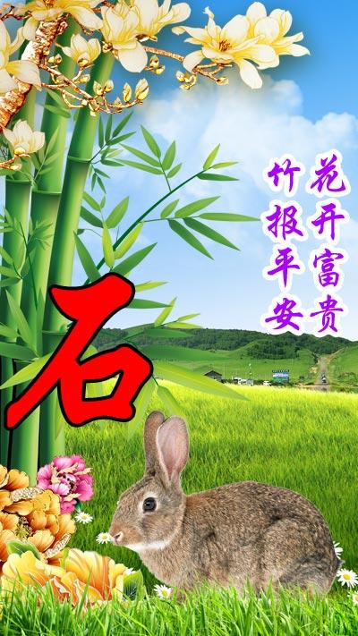 1987年出生的人到底属兔还是属龙？看完这篇你就懂了