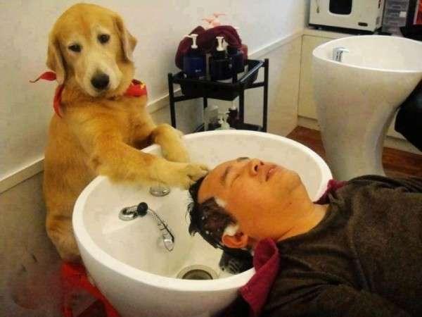 你家猫咪为啥总张着嘴?难道是在偷笑吗? 你家猫咪为啥总张着嘴?难道是在偷笑吗?