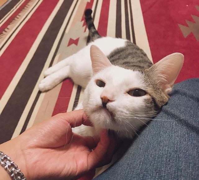 华泰柏瑞App被骗充值无法提现怎么办-平台充值无法提现如何追回