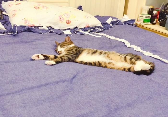 女生梦见高利贷者的心理密码与2025年运势转折 女生梦见高利贷者的心理密码与2025年运势转折