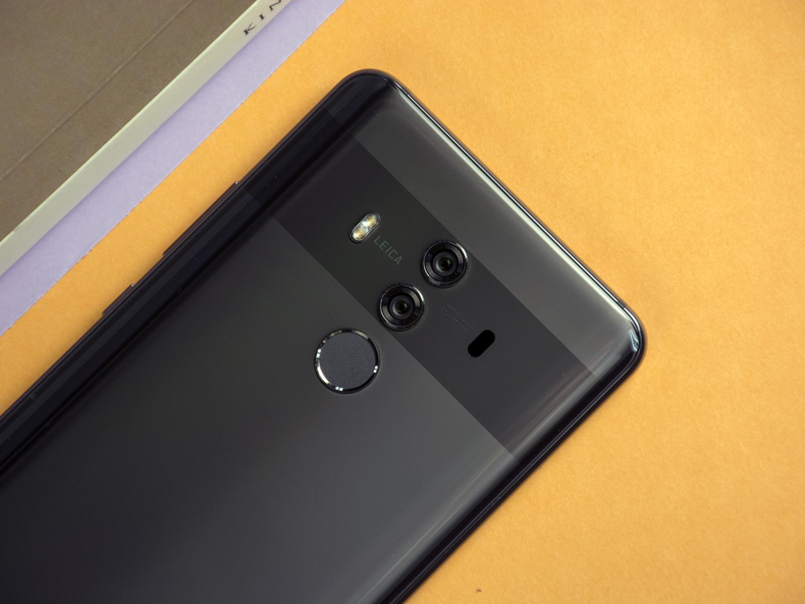 猫咪突然变蔫了？可能是蜱虫在吸血！