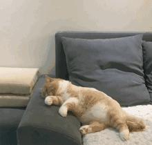 梦见小腿受伤流血预示什么？心理学深度解析与化解指南