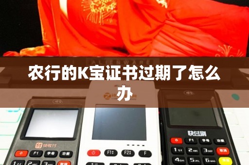 【农行k宝到期了怎么更新】线上线下两种方式对比,手把手教你轻松完成更新 【农行k宝到期了怎么更新】线上线下两种方式对比,手把手教你轻松完成更新