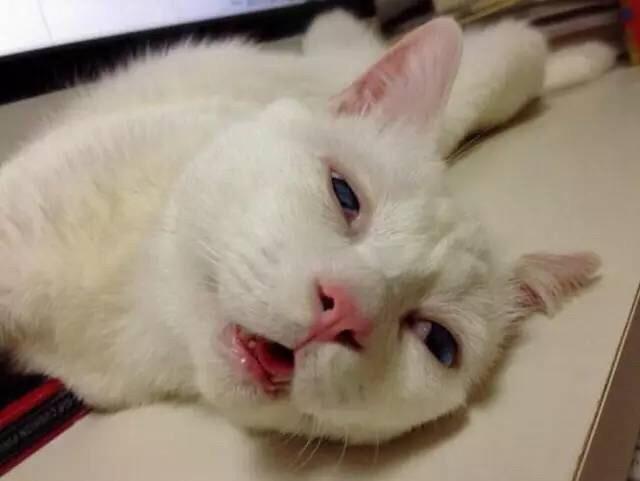 三旬文化app被骗充值无法提现怎么办-平台充值无法提现如何追回