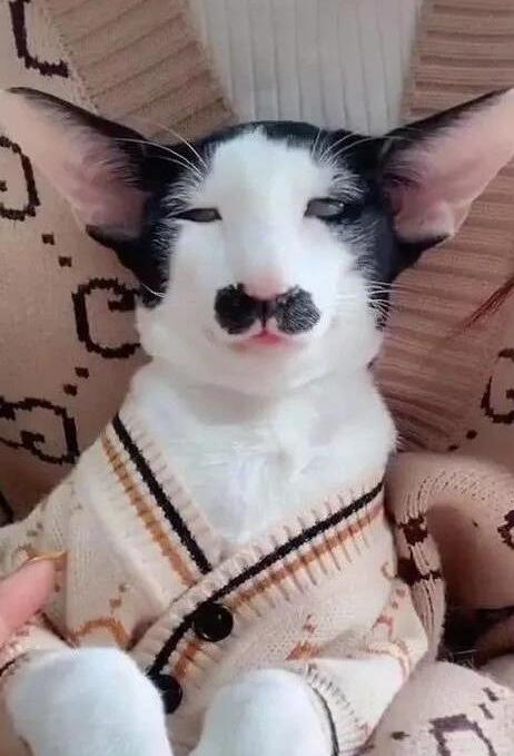 U20女足亚预赛第二阶段究竟藏着哪些 必考重点 ? U20女足亚预赛第二阶段究竟藏着哪些 必考重点 ?