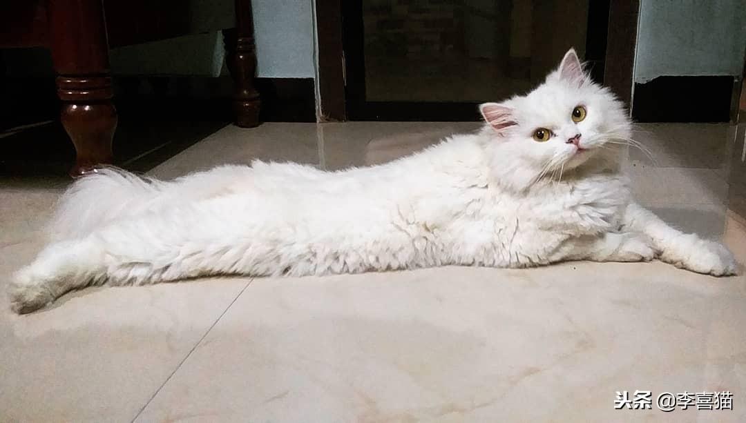 越剧沙漠王子算命戏到底有多神? 越剧沙漠王子算命戏到底有多神?