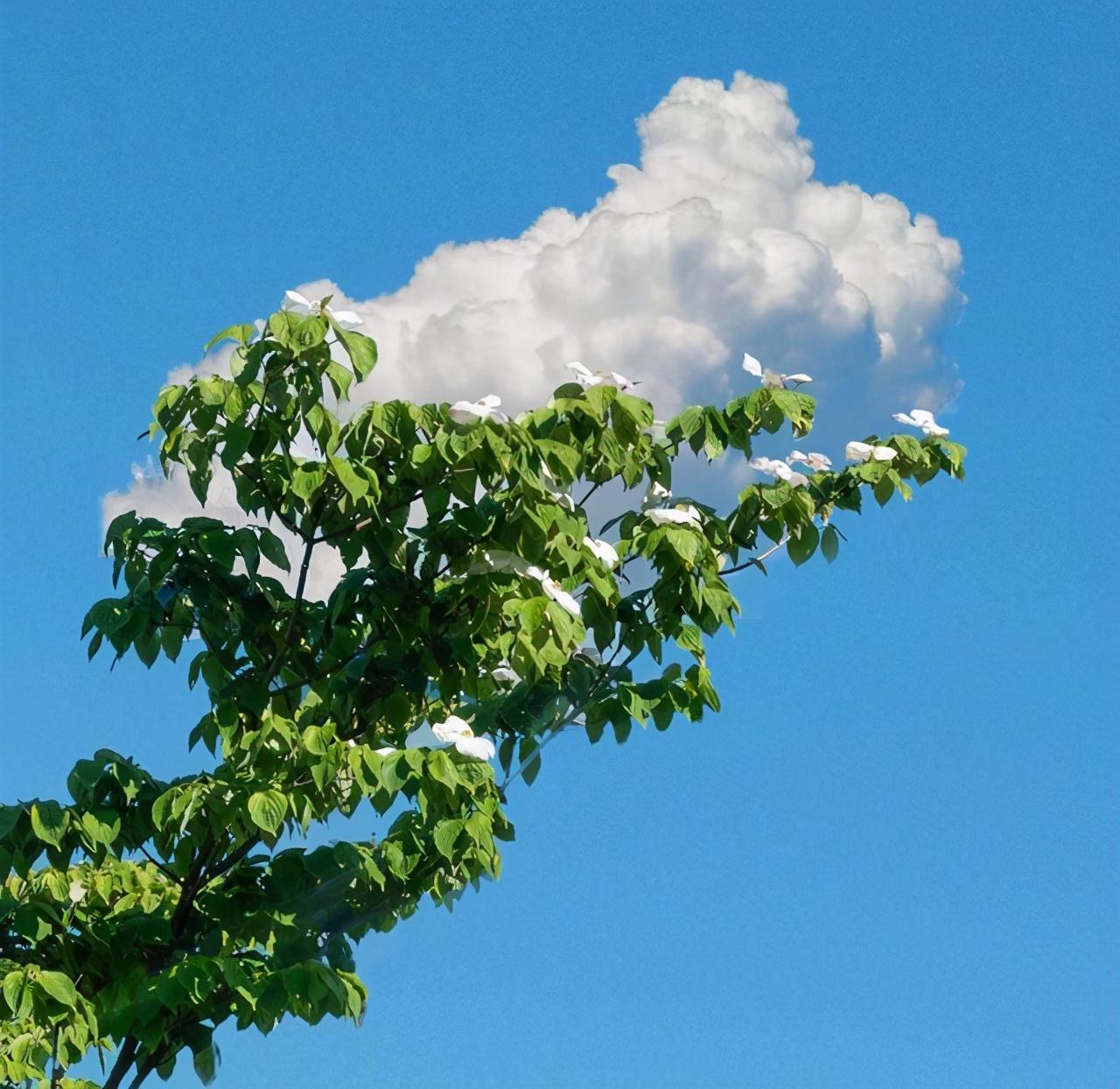 免费测五行真的能算准命理吗？