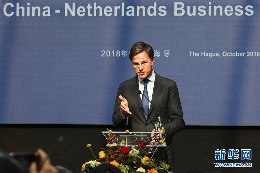 在荷兰生活找不到组织？这些华人论坛能救命吗？