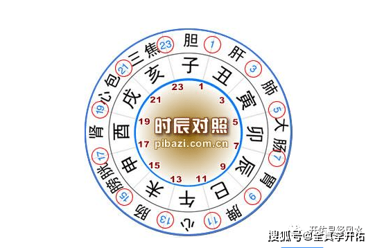 学八字入门基础知识，怎样学习四柱八字能够尽