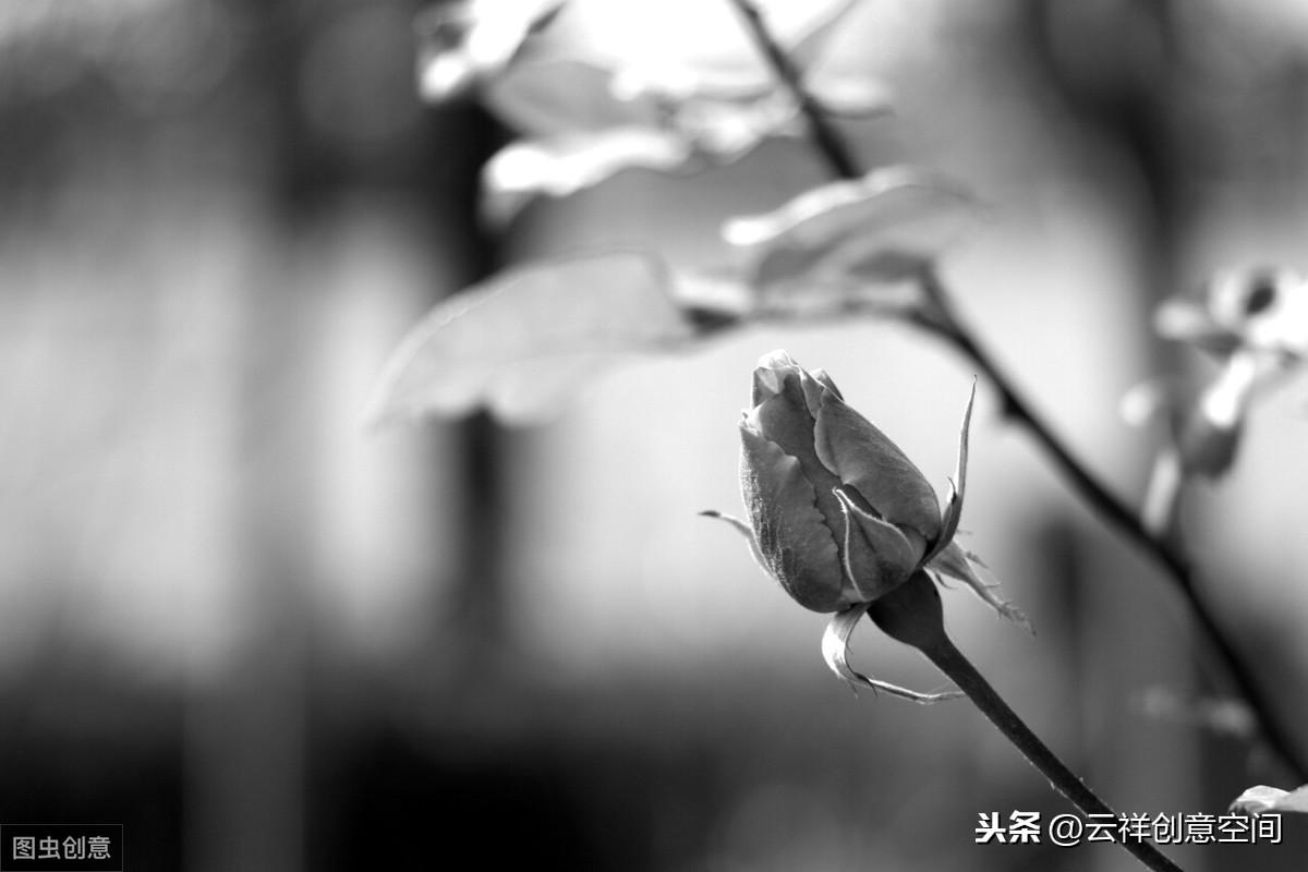 梦见自己扎辫子预示什么?心理学与星象学双维解析5大命运转折 梦见自己扎辫子预示什么?心理学与星象学双维解析5大命运转折