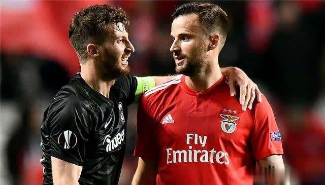 为什么猫咪的肉垫总让人忍不住想捏? 为什么猫咪的肉垫总让人忍不住想捏?