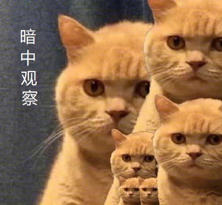 1998年出生的到底属虎还是属牛？