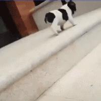 Bakara Rouje: Brand Fashion dengan Koleksi Pakaian Stylish dan Berkelas