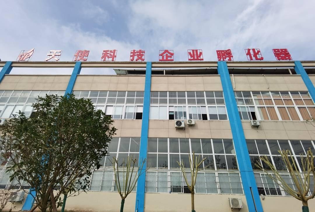 梦见会飞的天使预示什么?2025年星座运势与化解全解 梦见会飞的天使预示什么?2025年星座运势与化解全解