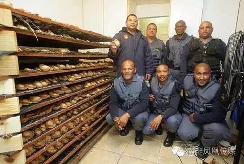 雷克萨斯RX270论坛到底藏着什么新手不知道的宝藏？