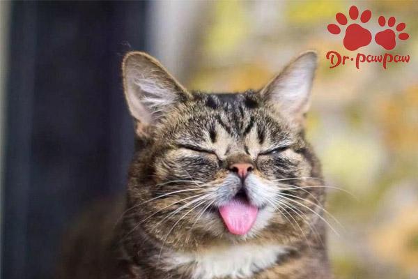 八字看你的孩子能否学业有成