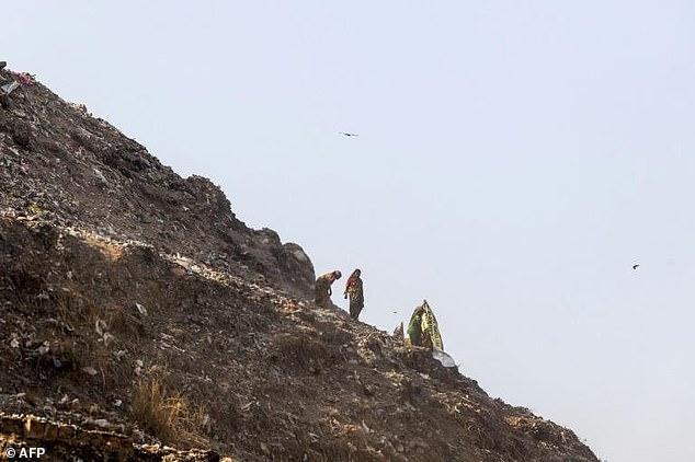 白色索纳塔值不值得买？新手必看的避坑指南