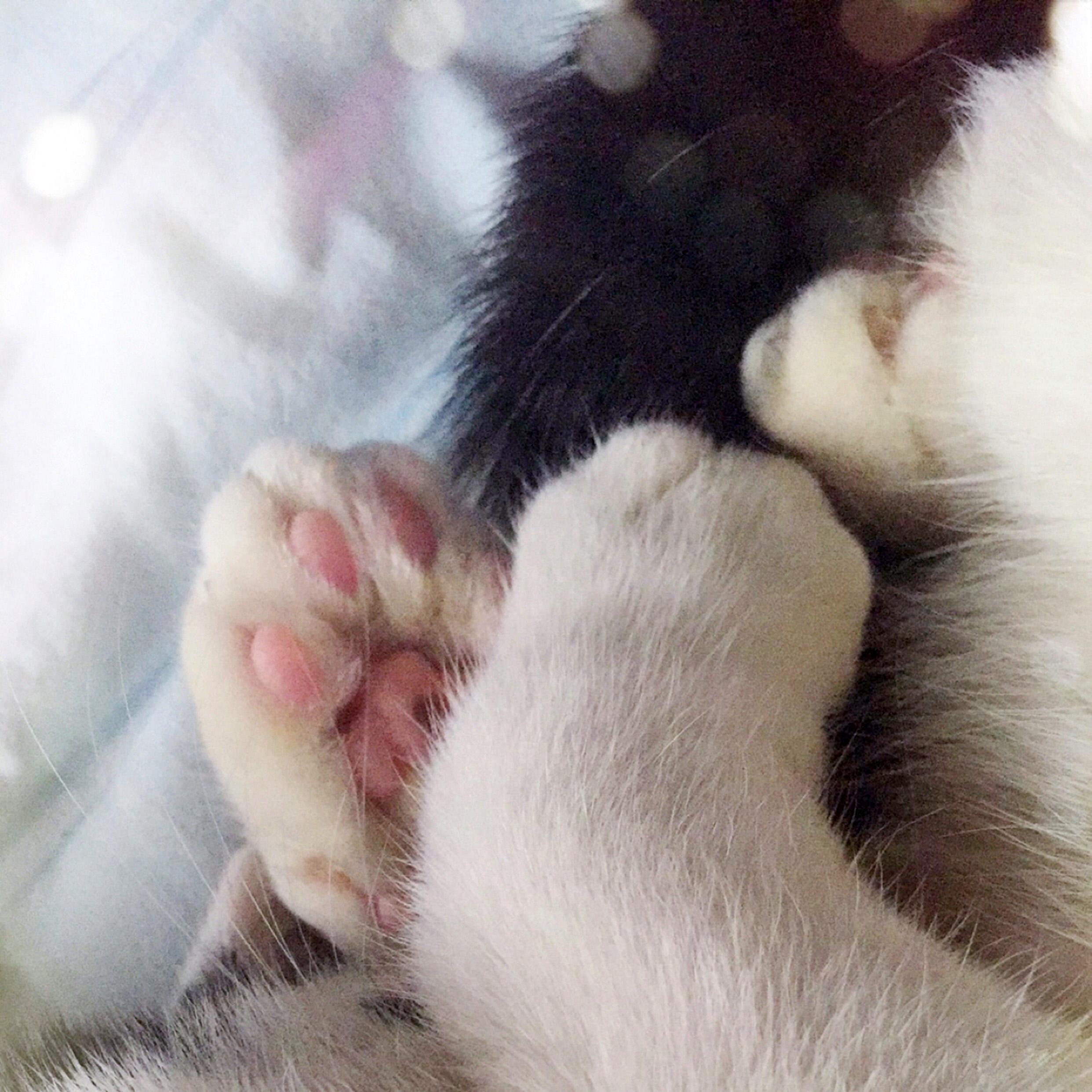 足球场上耍帅踢飞球 真的会罚钱吗？