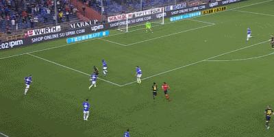 你家猫主子总翘尾巴是在打什么哑谜？