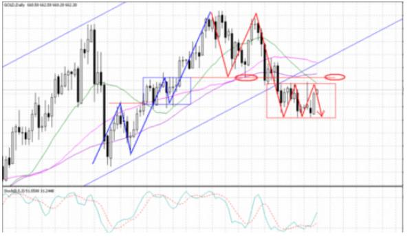 养猫新手必备的5款神器APP有哪些？