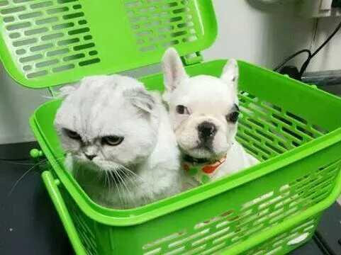 北京新影联影业公司﻿App无法提现怎么办-网上做单平台被骗充值提现不了如何追回 