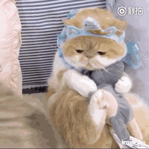 东京奥运会中国队到底排第几？这份攻略让你秒懂奖牌榜