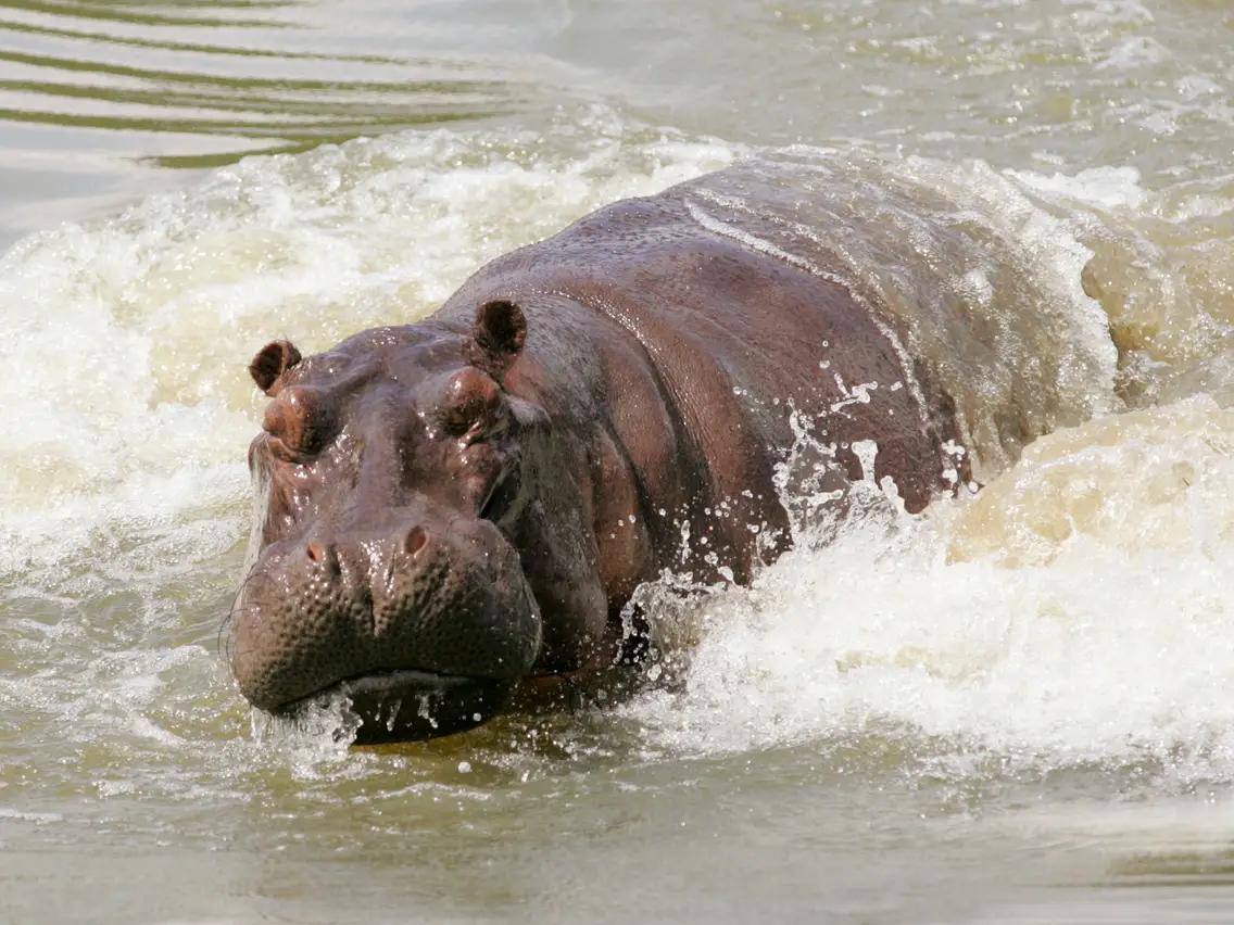 刚到俄亥俄怎么找到组织？