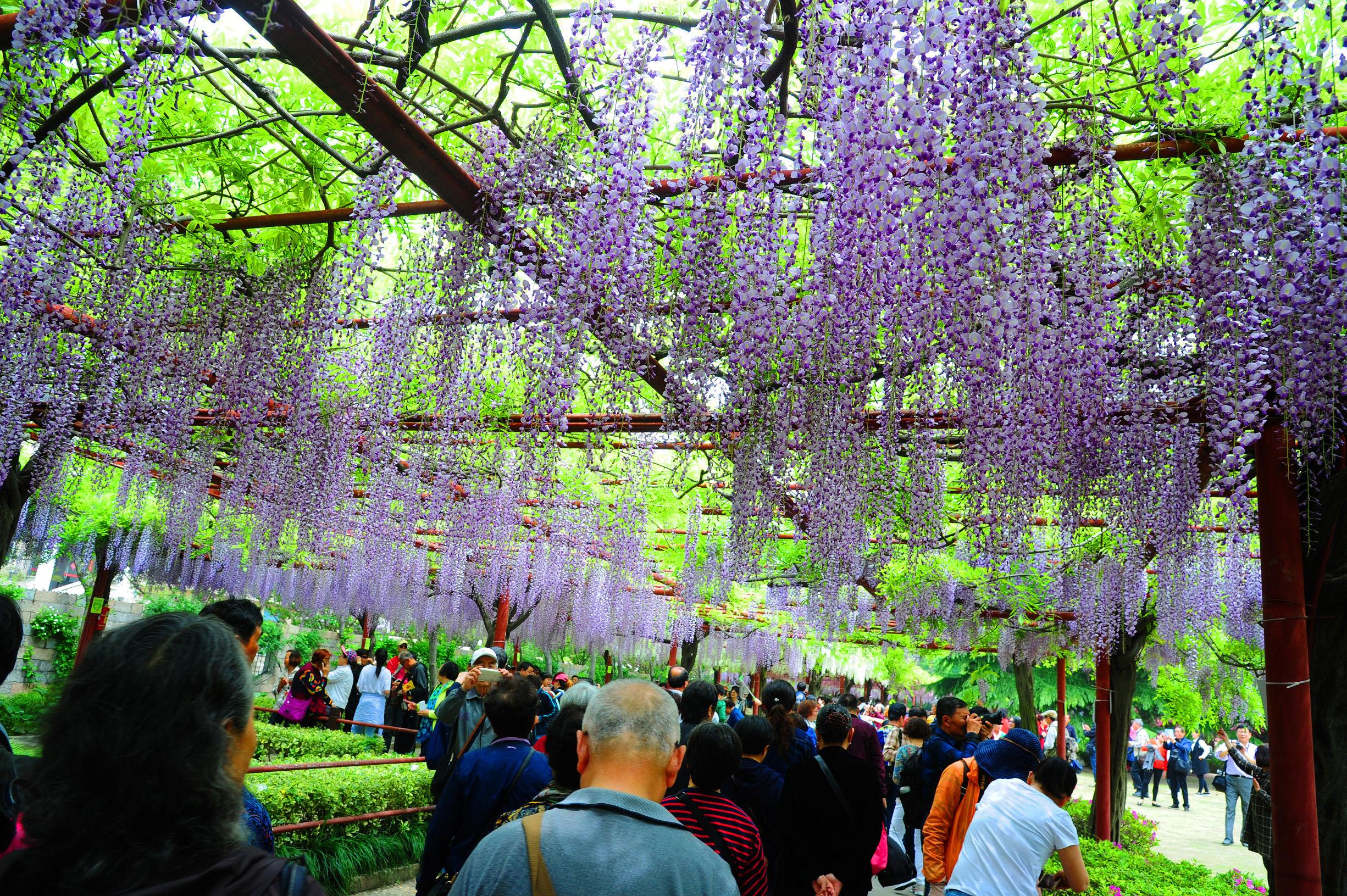 4月30日到底藏着哪些不为人知的秘密? 4月30日到底藏着哪些不为人知的秘密?