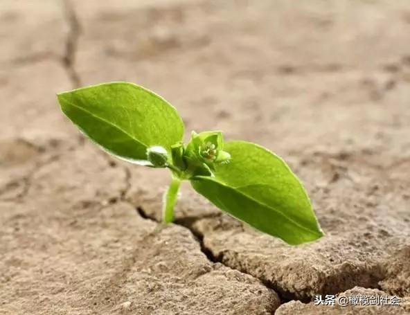 2014年立春那天到底发生了什么？