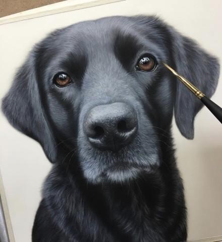 零基础怎么用彩铅画出毛茸茸的萌猫? 零基础怎么用彩铅画出毛茸茸的萌猫?