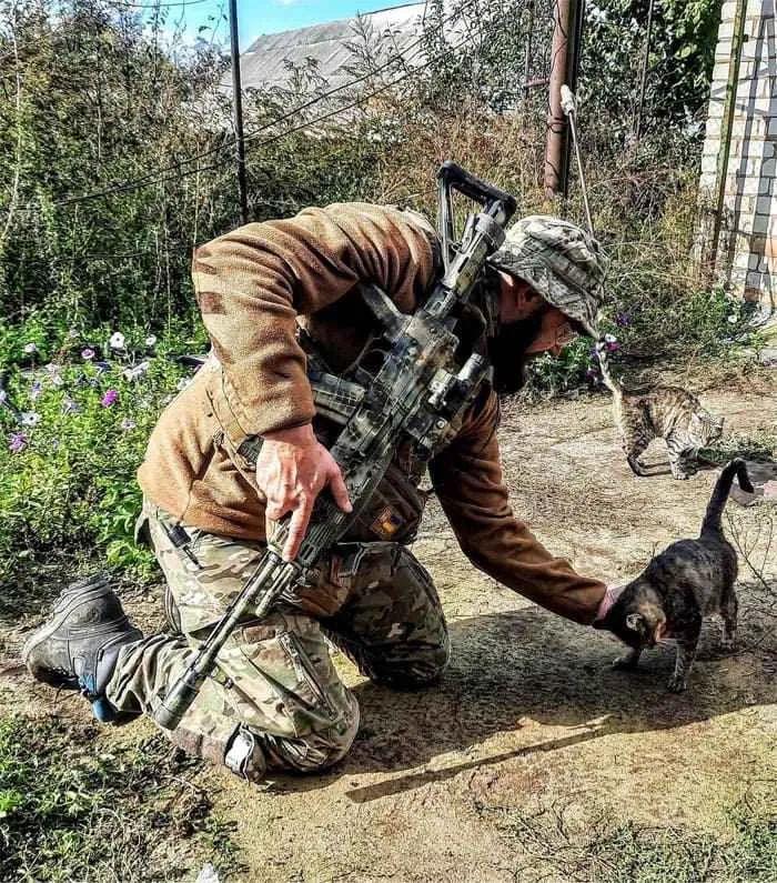 比拉斯科新手如何快速上手? 比拉斯科新手如何快速上手?