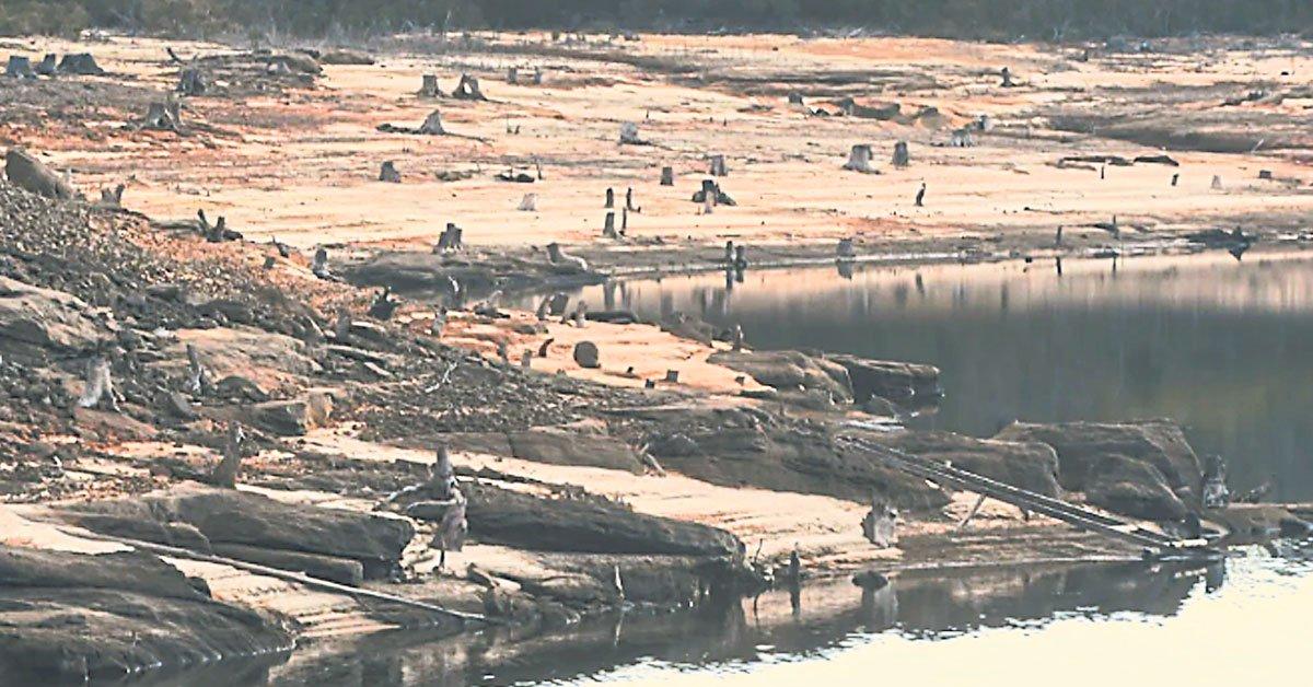 在澳洲当水管工能挣多少钱? 在澳洲当水管工能挣多少钱?