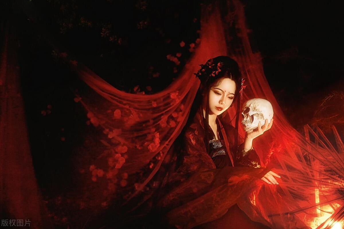 二八佳人到底藏着哪个生肖？