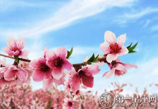 梦里出现男的是阴桃花_阴桃花是什么意思