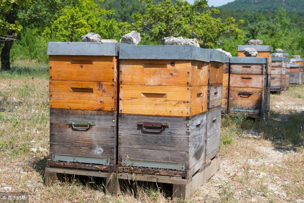 孕妇梦见和尚是胎梦吗？2025年运势解析与科学解梦