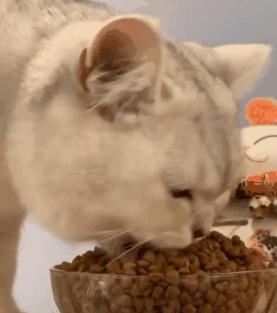 免费看八字算命到底靠不靠谱? 免费看八字算命到底靠不靠谱?