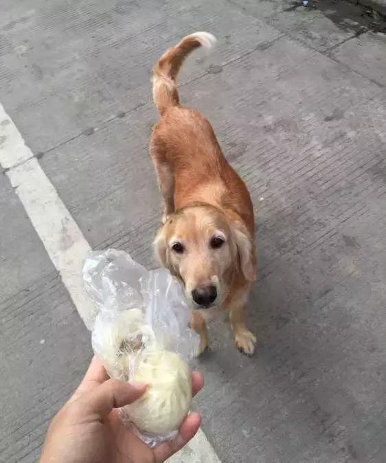 梦见算命是老天爷在暗示什么？